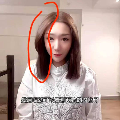 세라믹 PTC와 아르간 오일 투여와 함께 혁신적인 항 타는 헤어 커러